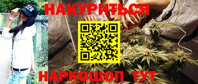 прущие грибы Братск