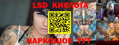 прущие грибы Братск