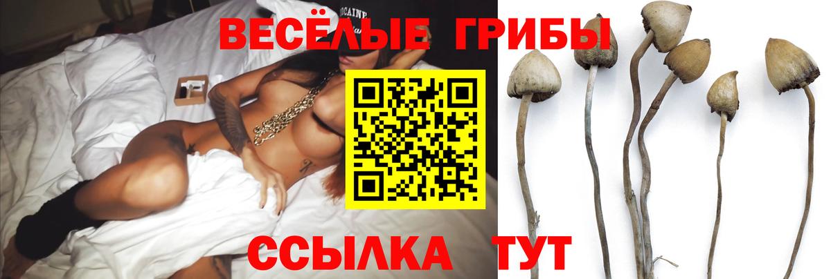 Галлюциногенные грибы Cubensis  закладки  Бугуруслан  Вход с VPN 